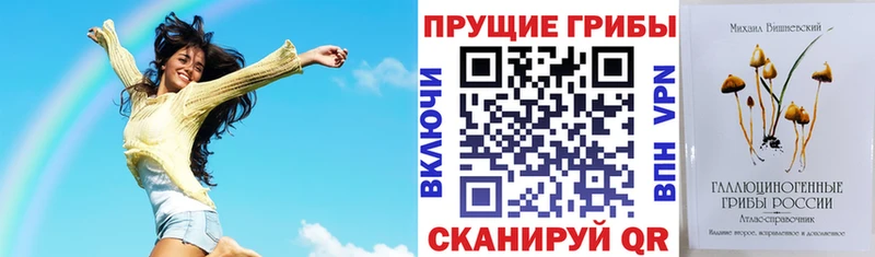 Псилоцибиновые грибы прущие грибы  Купить закладки  Михайловка 